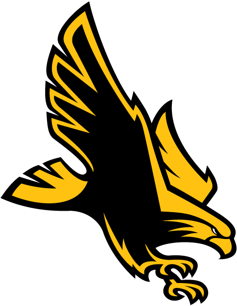 Southern Miss Golden Eagles decals